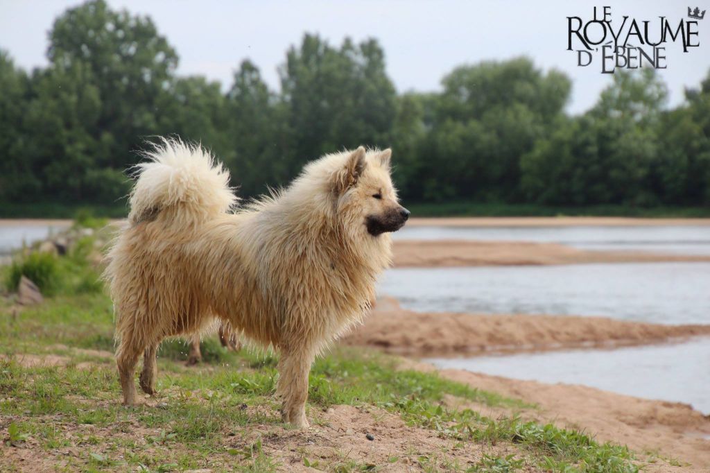 Magma Du Royaume Des Etangs